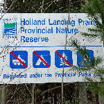 Holland Landing Prairie Provincial Park - January 31, 2016